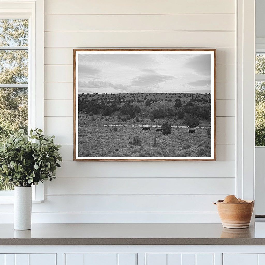 Concho Arizona Rangeland Vintage Photo 1940