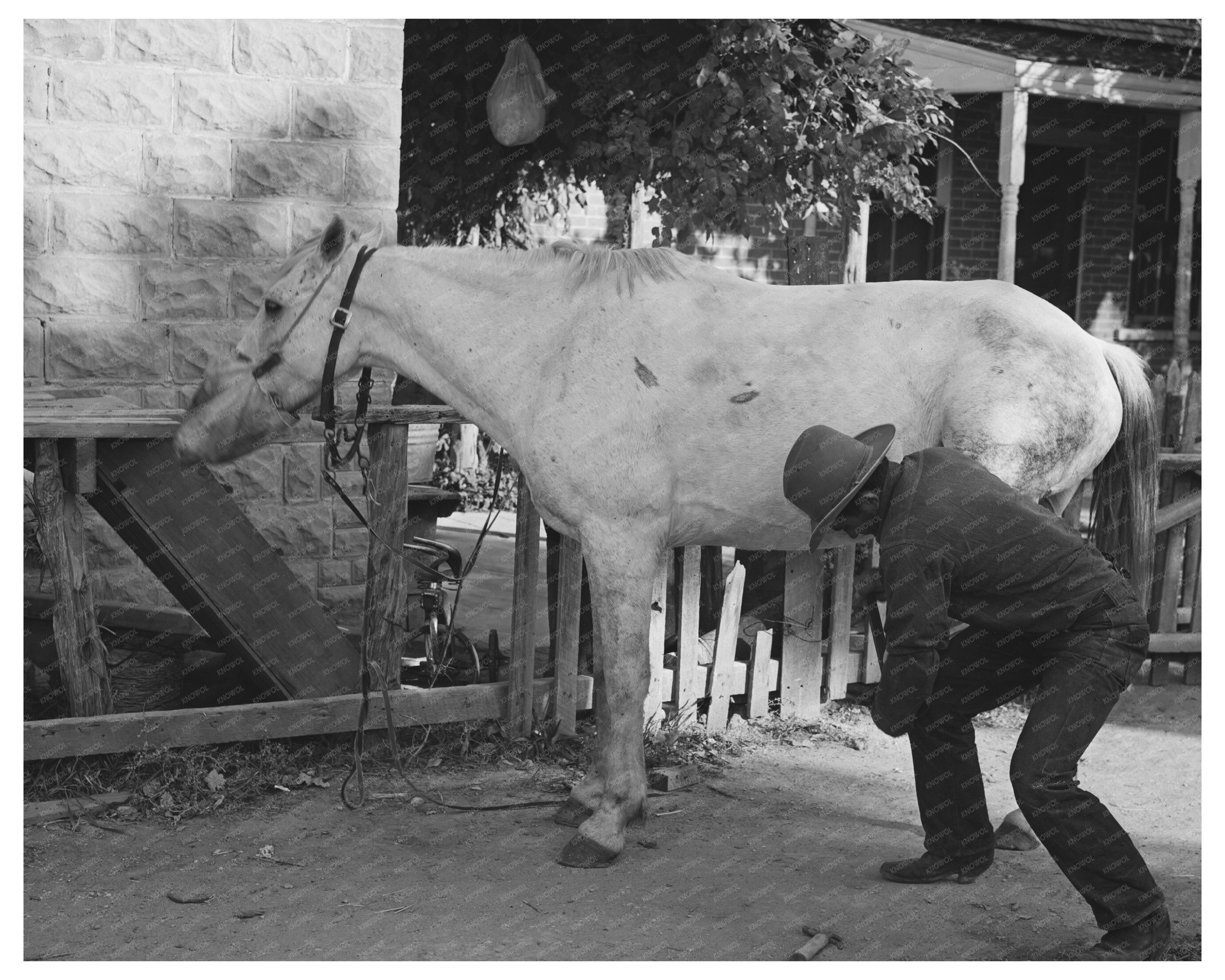 Mormon Farmer Shoe Horse in Santa Clara Utah 1940