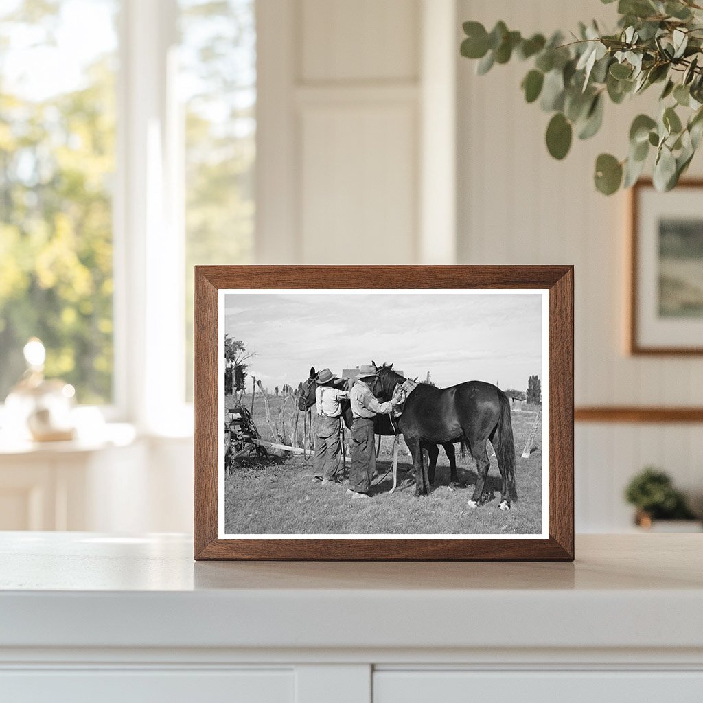 Concho Arizona Horse Harnessing Scene October 1940