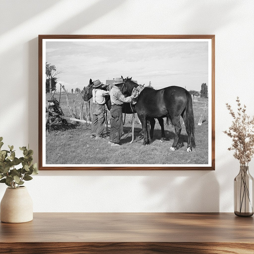 Concho Arizona Horse Harnessing Scene October 1940