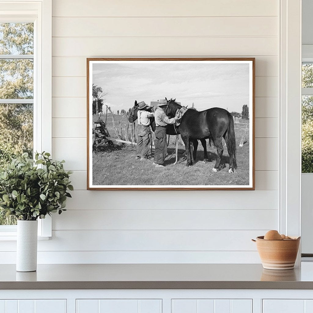 Concho Arizona Horse Harnessing Scene October 1940