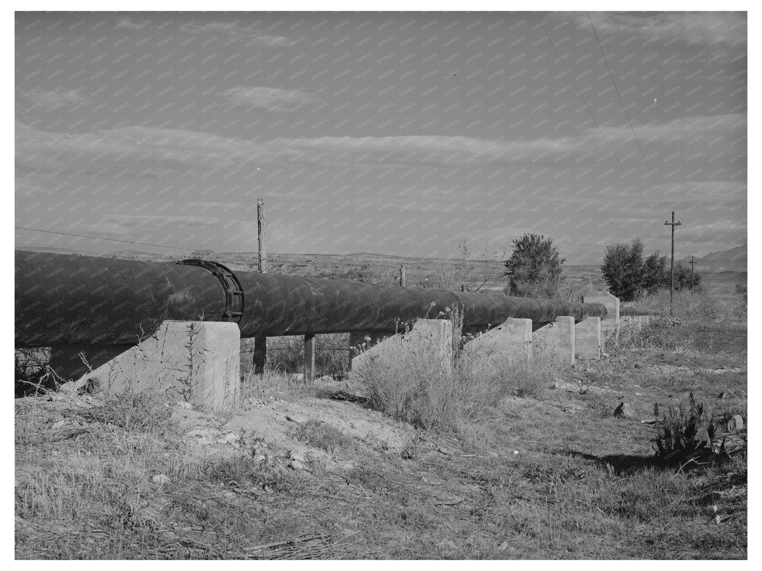 Irrigation Pipeline Farm Security Administration 1940