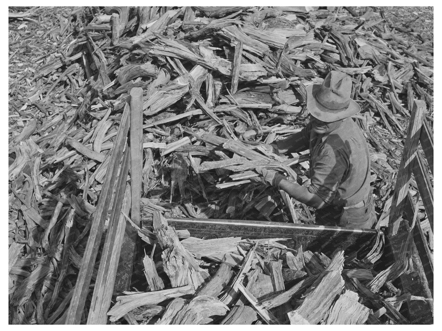 Wood Loading Scene in Concho Arizona October 1940