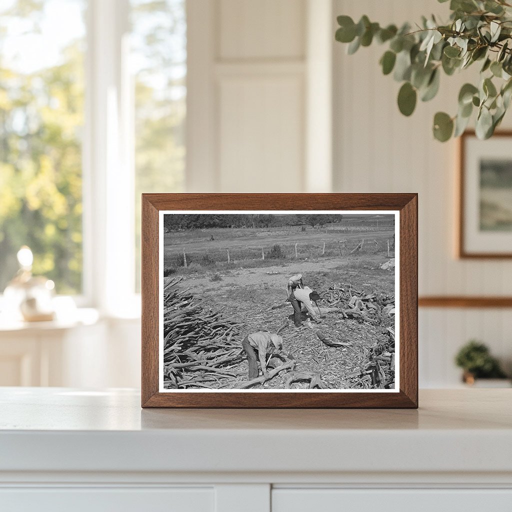 Chopping Wood for Winter Fuel Supply Concho Arizona 1940