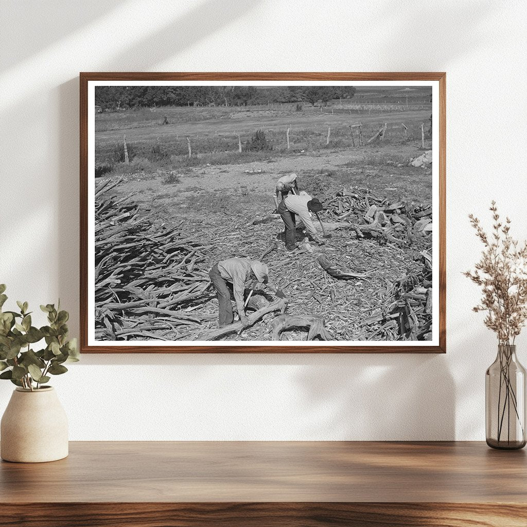 Chopping Wood for Winter Fuel Supply Concho Arizona 1940