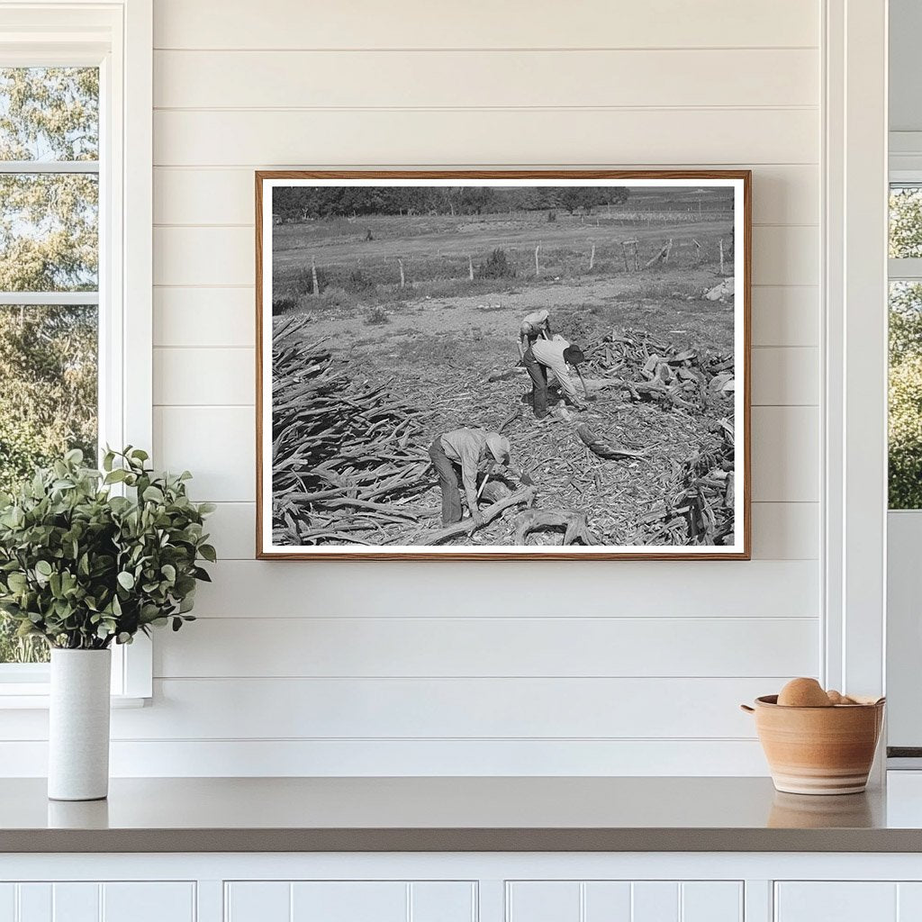 Chopping Wood for Winter Fuel Supply Concho Arizona 1940