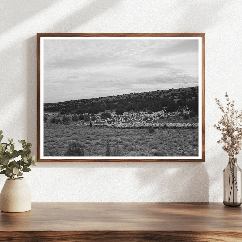 Candelarias Sheep Ranching in Apache County 1940