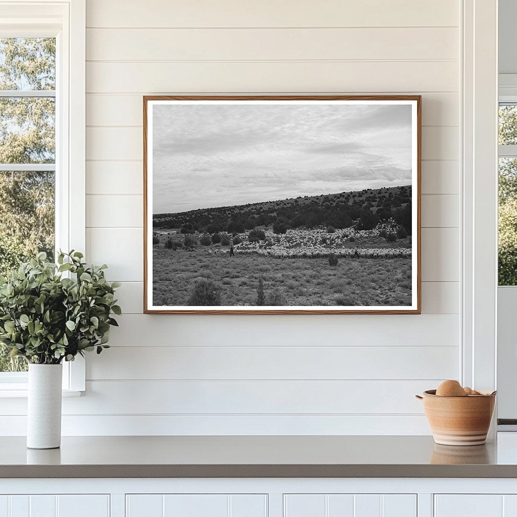 Candelarias Sheep Ranching in Apache County 1940