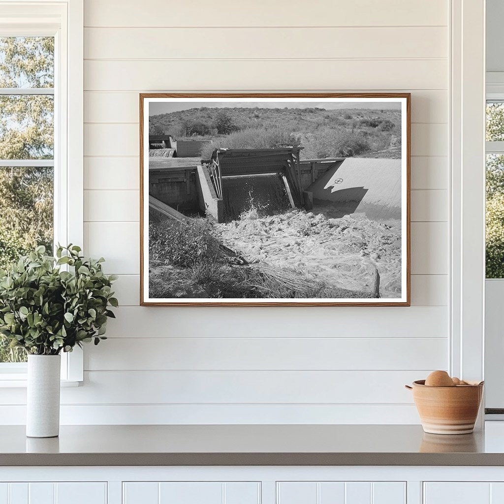 Irrigation Canal in Bernalillo New Mexico 1940