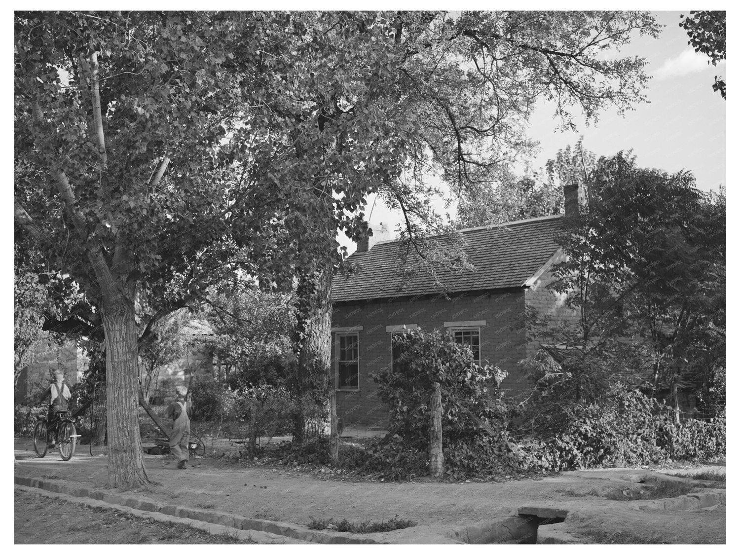 Santa Clara Utah Street Scene October 1940 Vintage Photo
