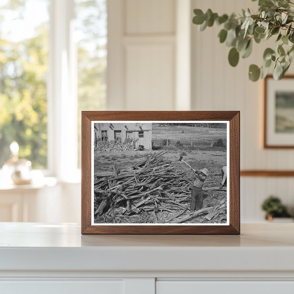Chopping Wood for Winter Fuel in Concho Arizona 1940
