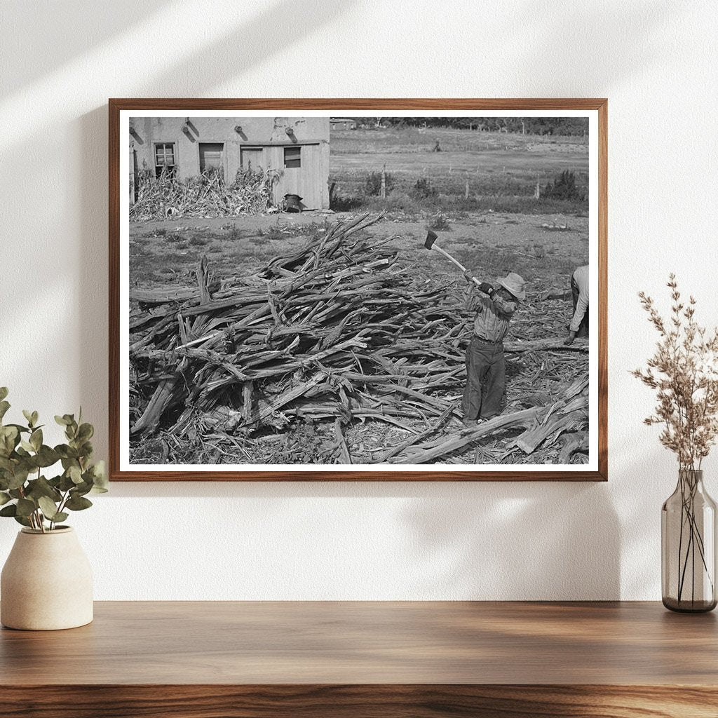Chopping Wood for Winter Fuel in Concho Arizona 1940
