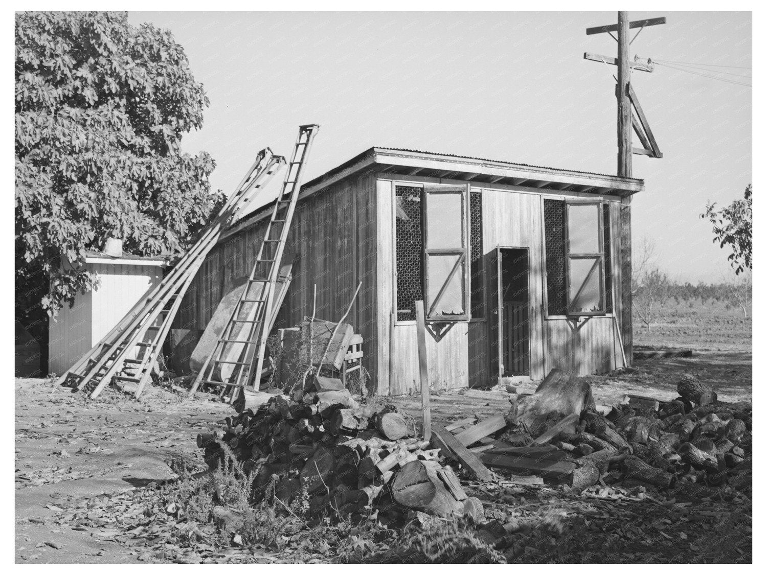 Vintage Chicken House and Fruit Ladders Yuba County 1940