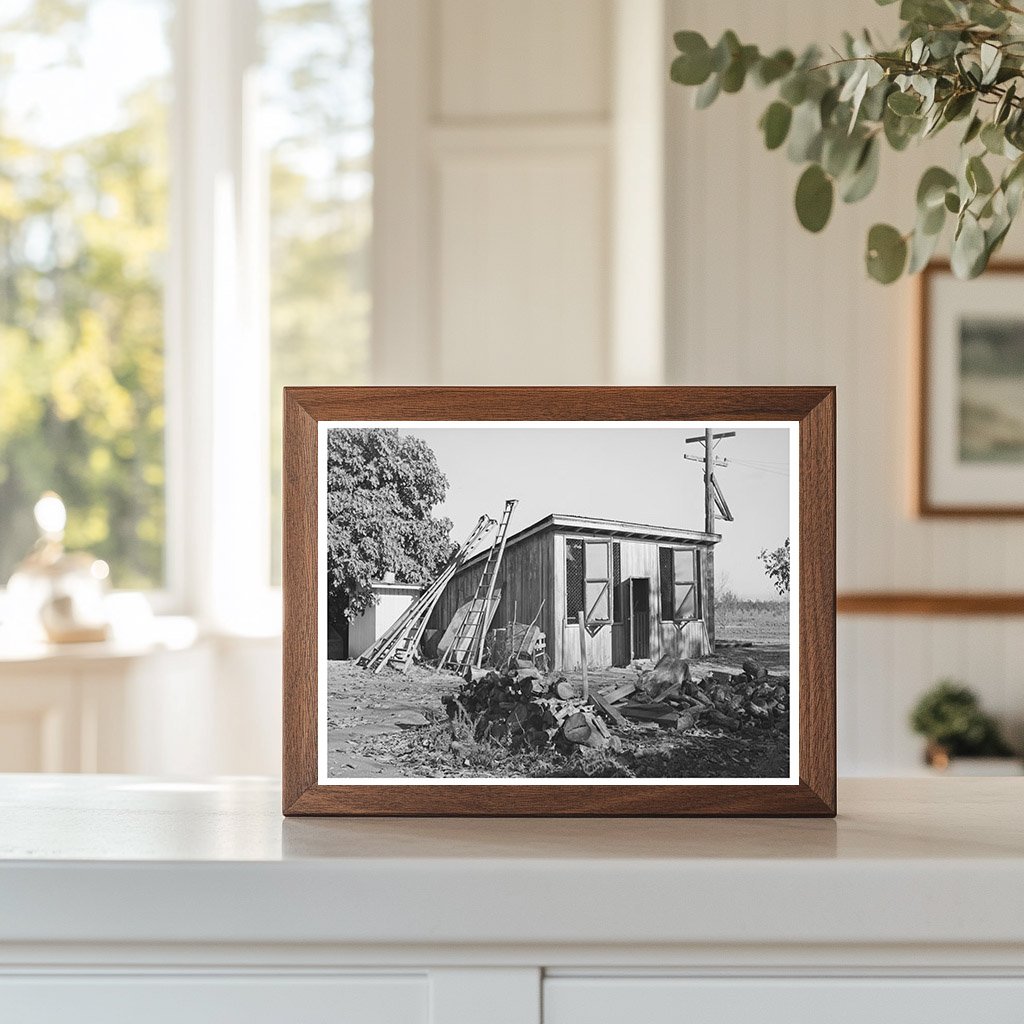 Vintage Chicken House and Fruit Ladders Yuba County 1940
