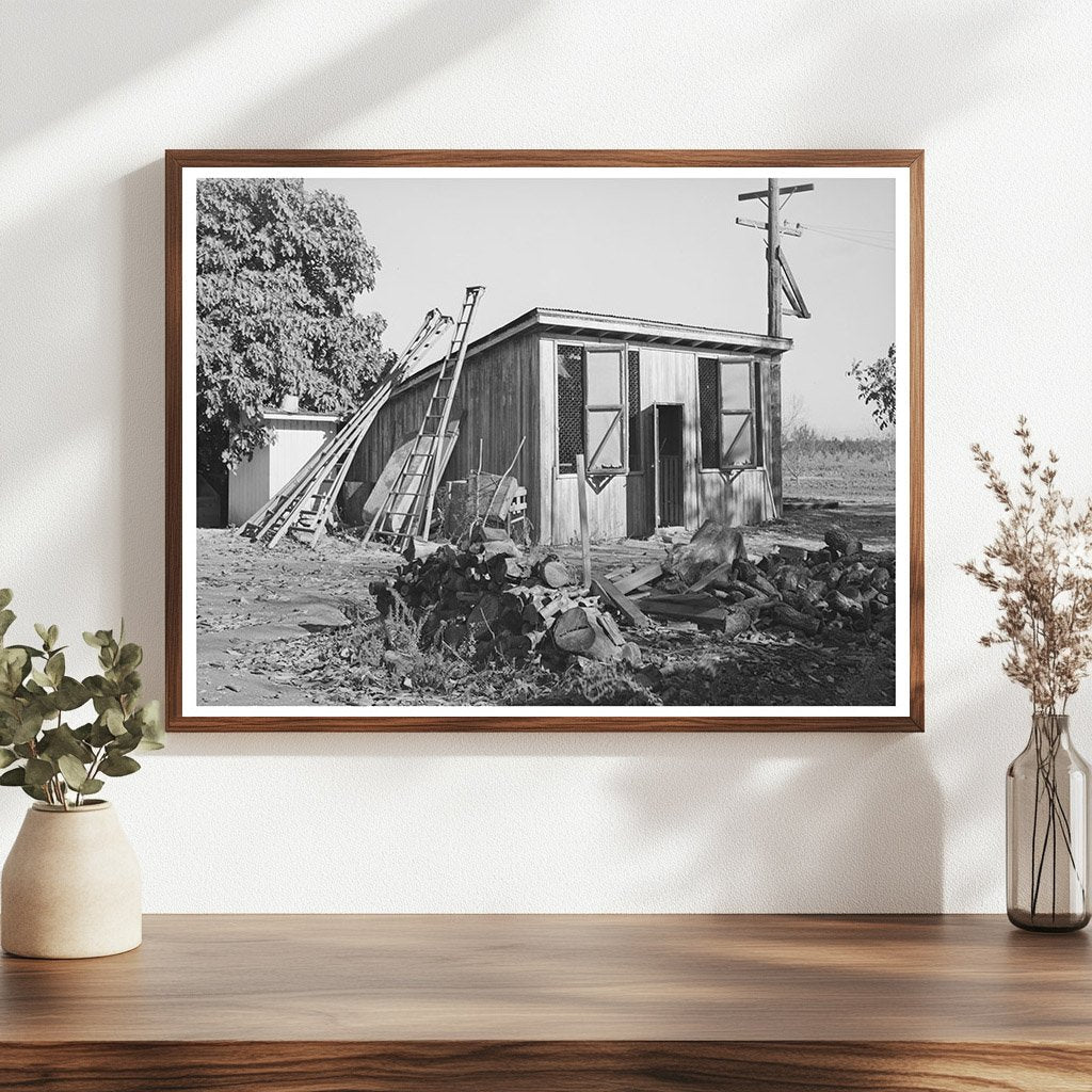 Vintage Chicken House and Fruit Ladders Yuba County 1940