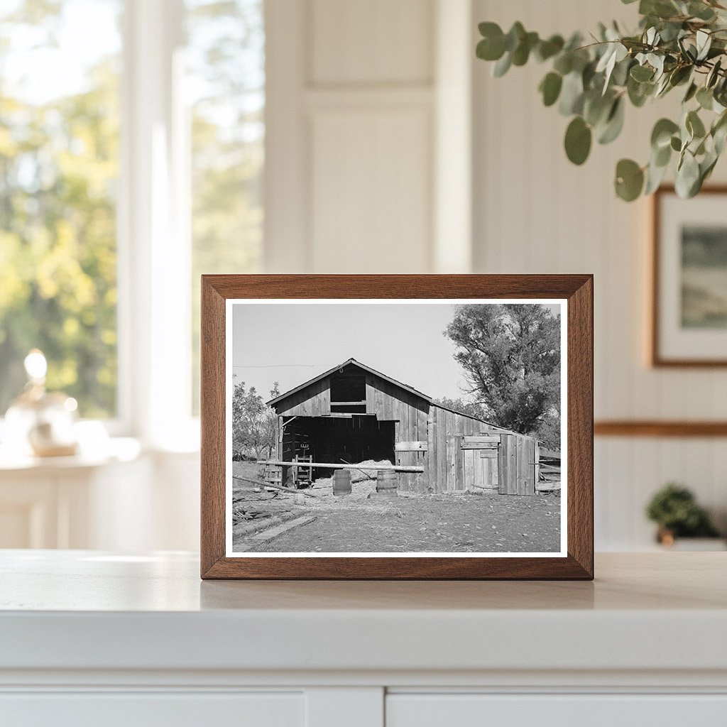 Perry Warners Barn Tehama County California 1940