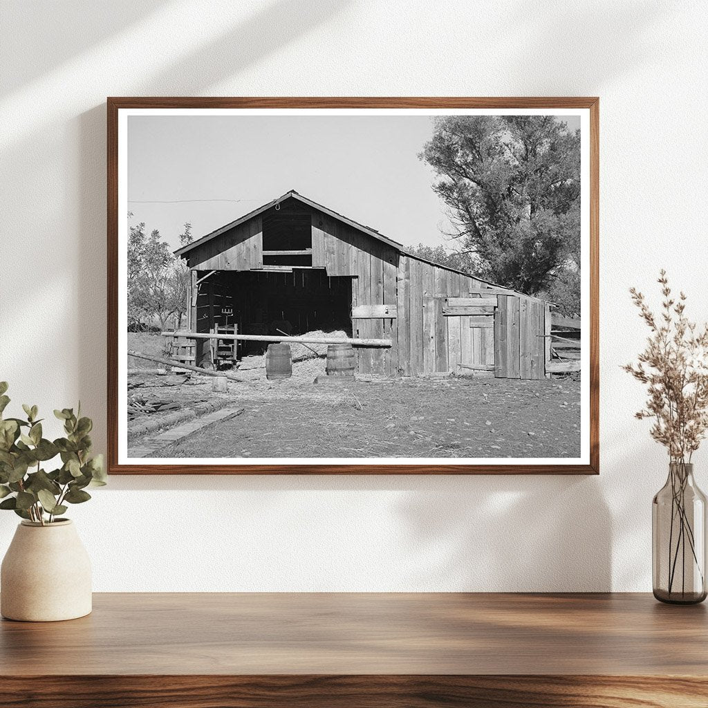 Perry Warners Barn Tehama County California 1940