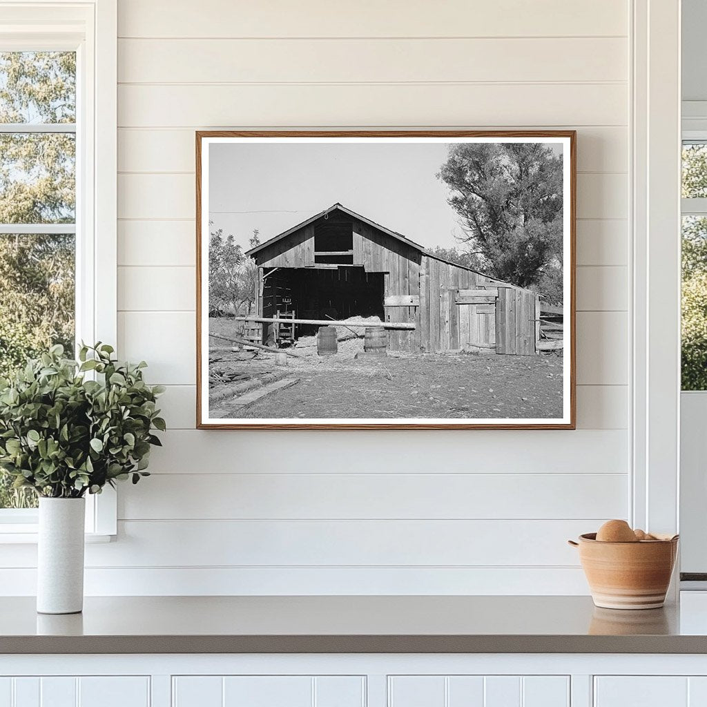 Perry Warners Barn Tehama County California 1940