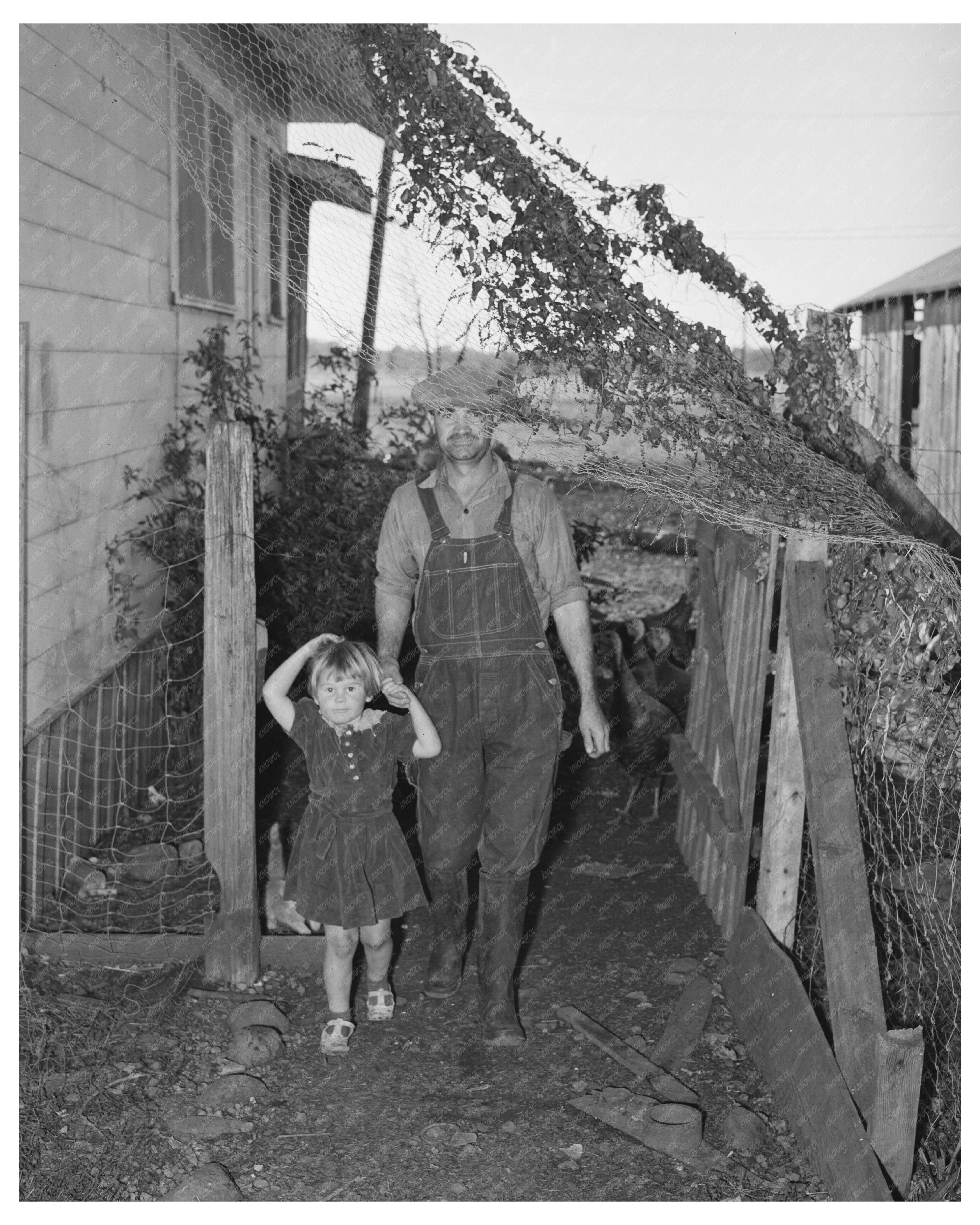 John Frost and Daughter on Tehama County Farm 1940