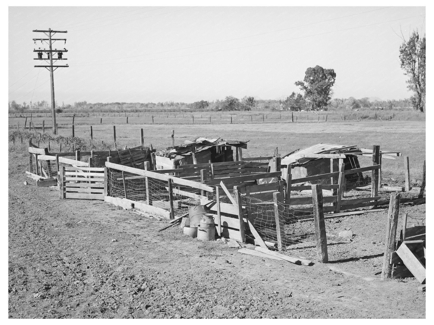Hog Pens at Elof Hansen Farm Yuba County 1940