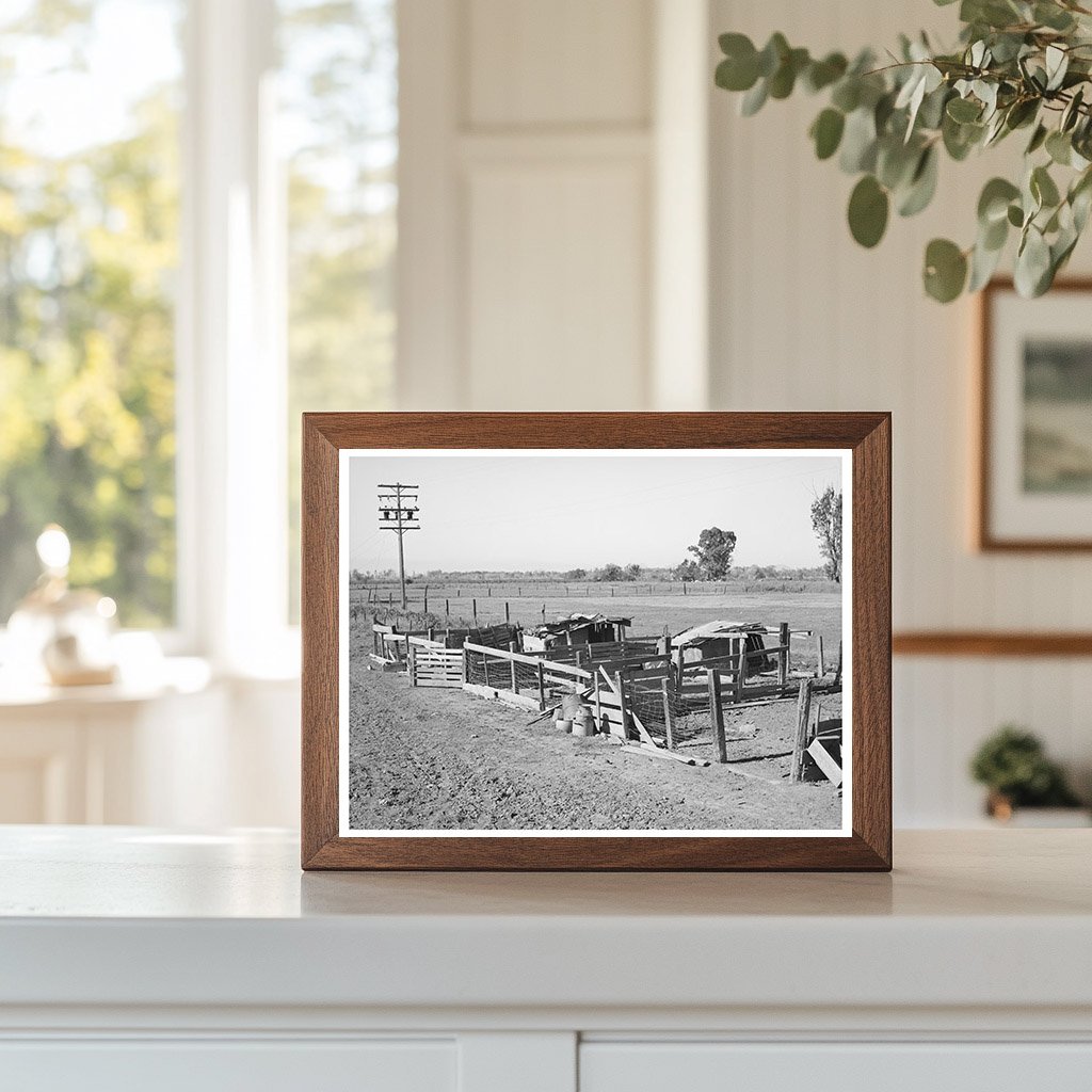 Hog Pens at Elof Hansen Farm Yuba County 1940