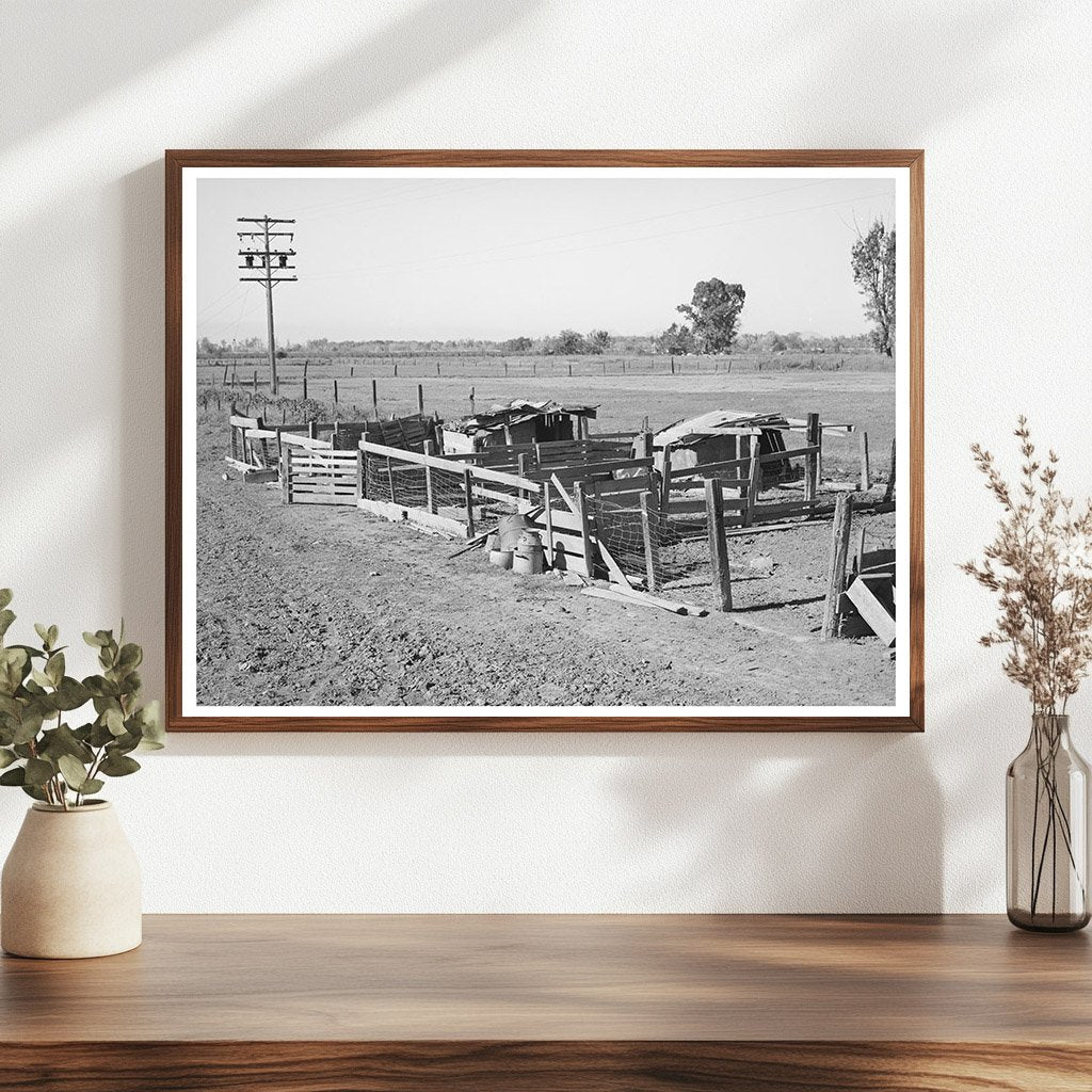 Hog Pens at Elof Hansen Farm Yuba County 1940