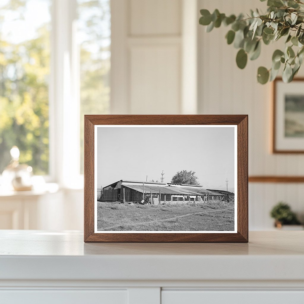 Chicken Houses in Tehama County California 1940