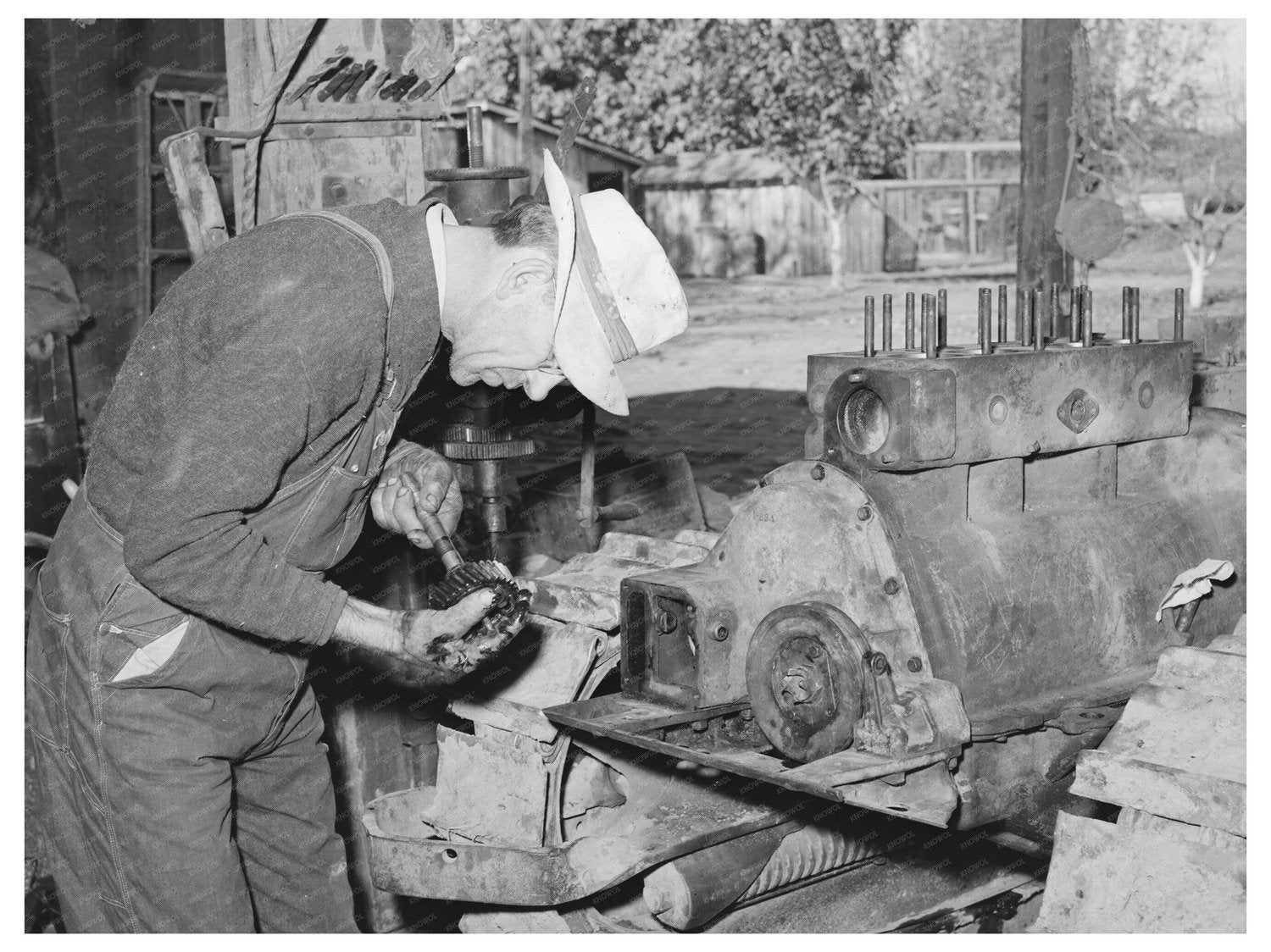Yuba County Fruit Farm Operations November 1940
