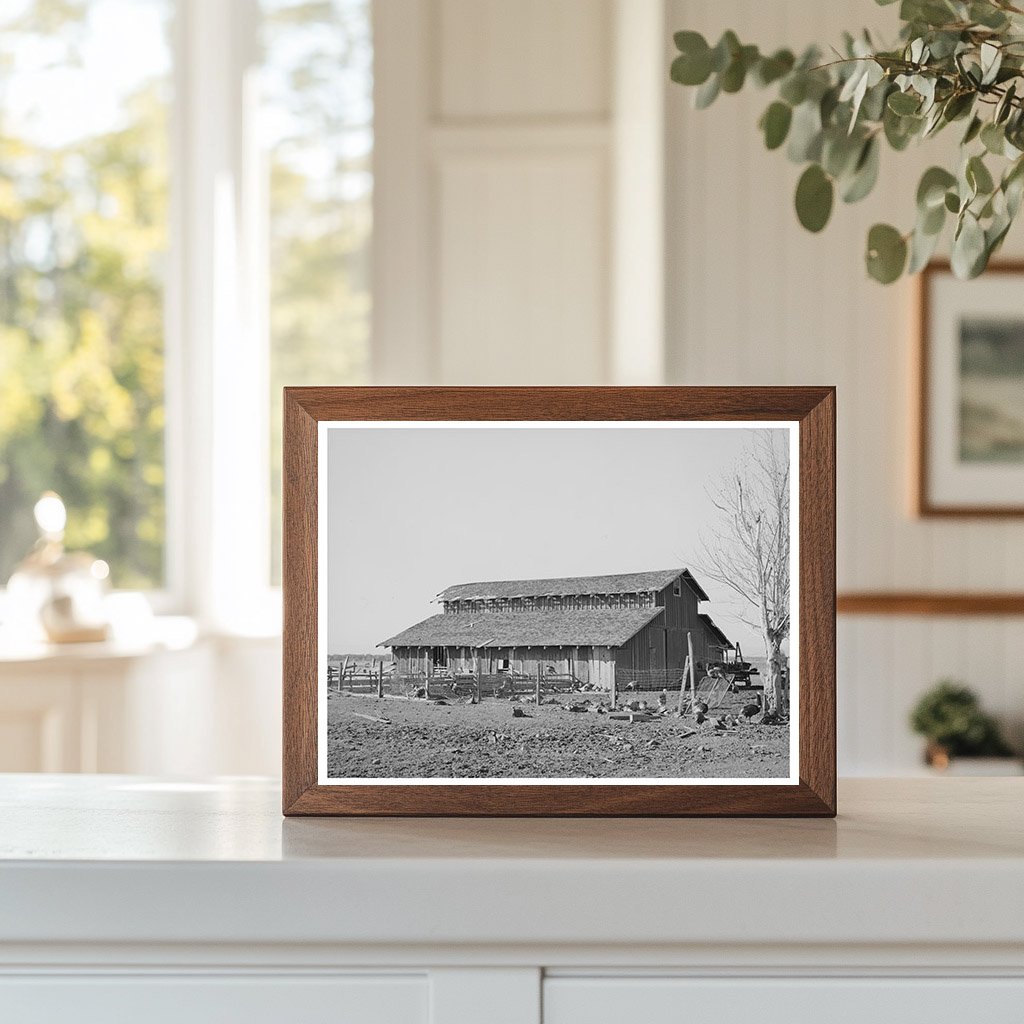 Turkeys and Barn of Farmer John Frost Tehama County 1940