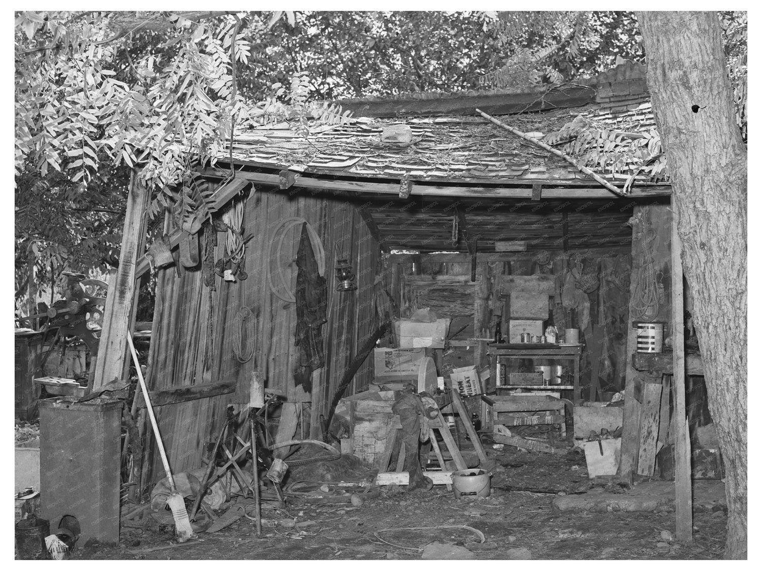 Interior of Perry Warners Farm Shed California 1940