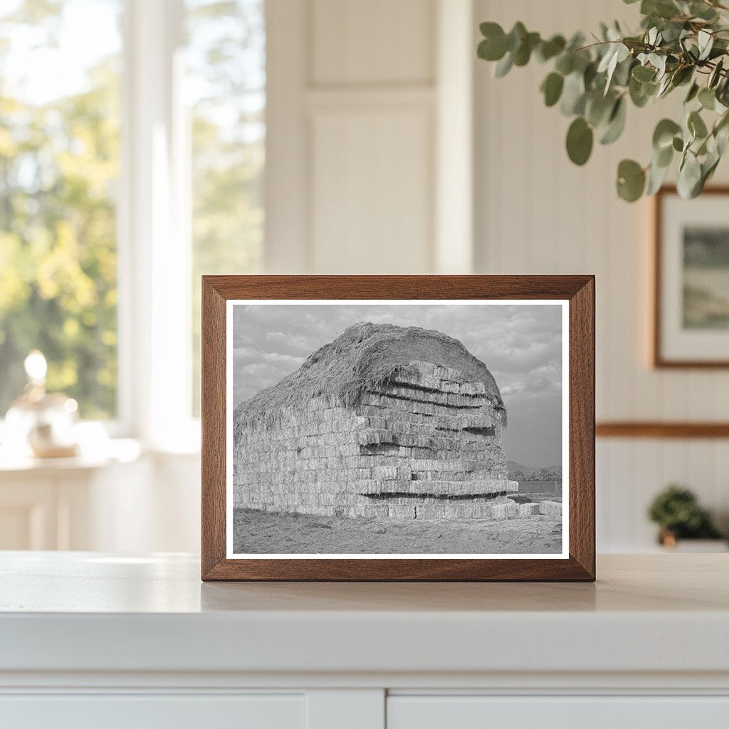 Baled Hay at Mineral King Farm Tulare County 1940