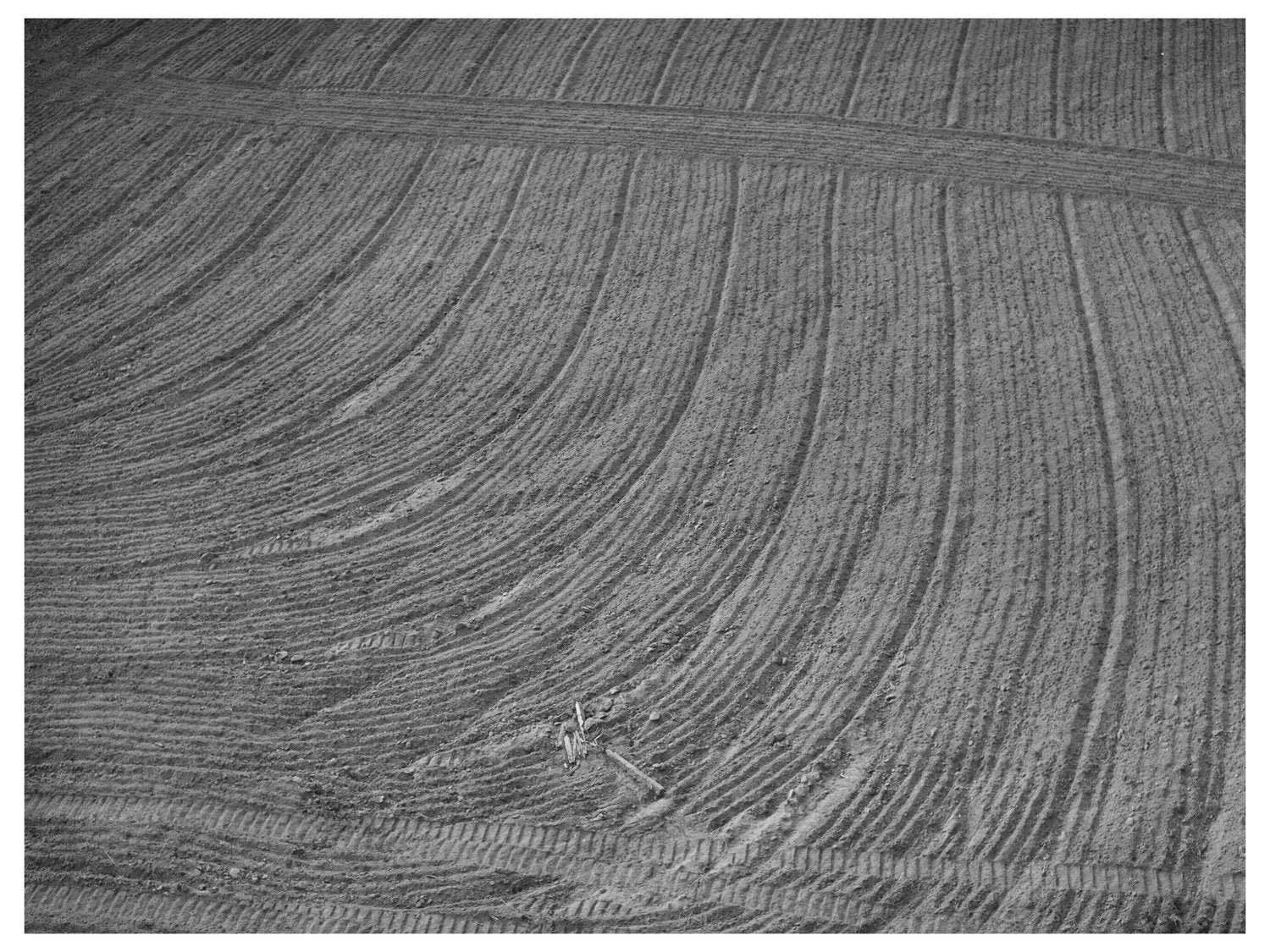 Harrowed Field at Mineral King Farm Tulare County 1940