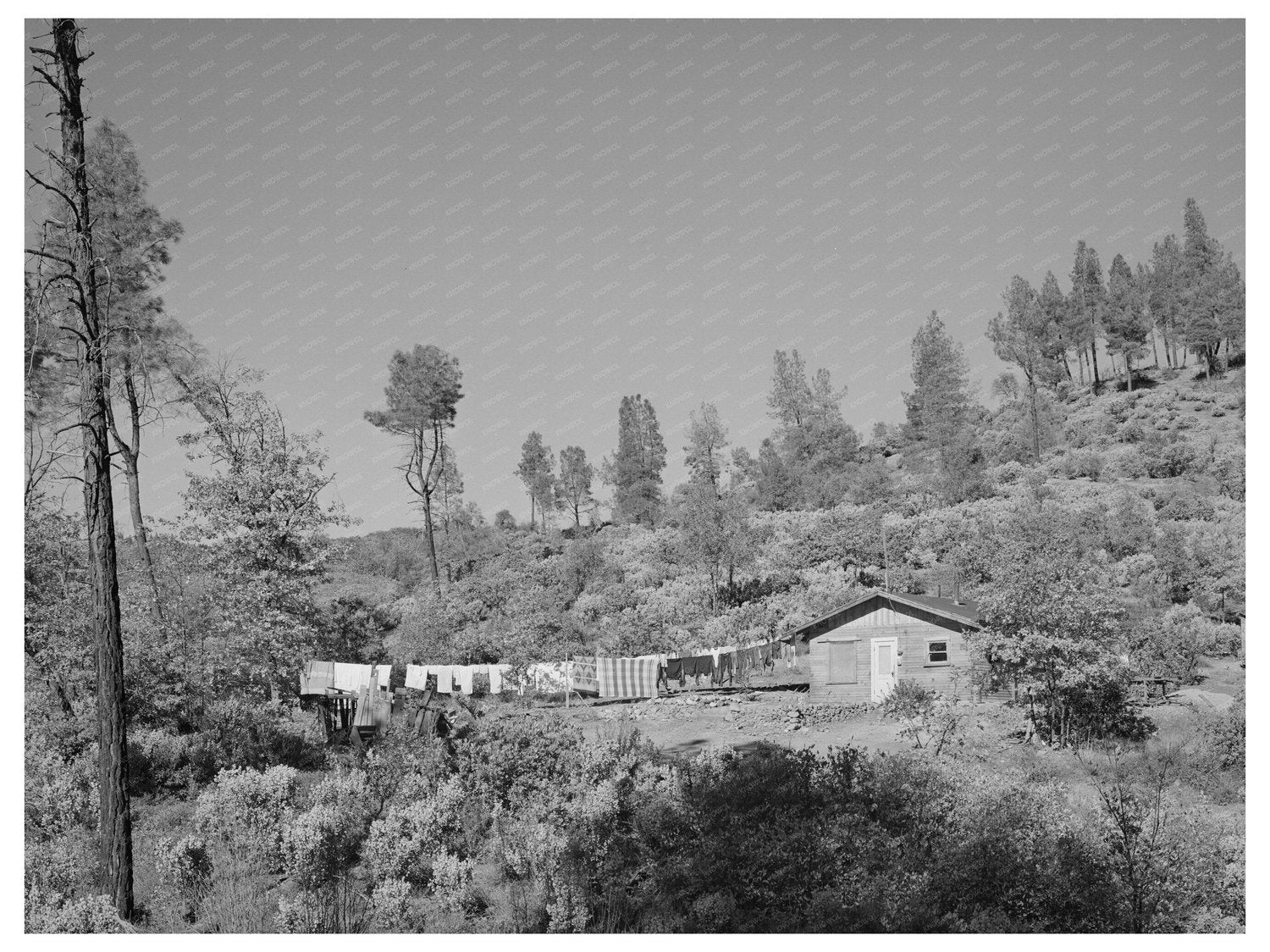 Shasta Dam Workers Makeshift Houses California 1940