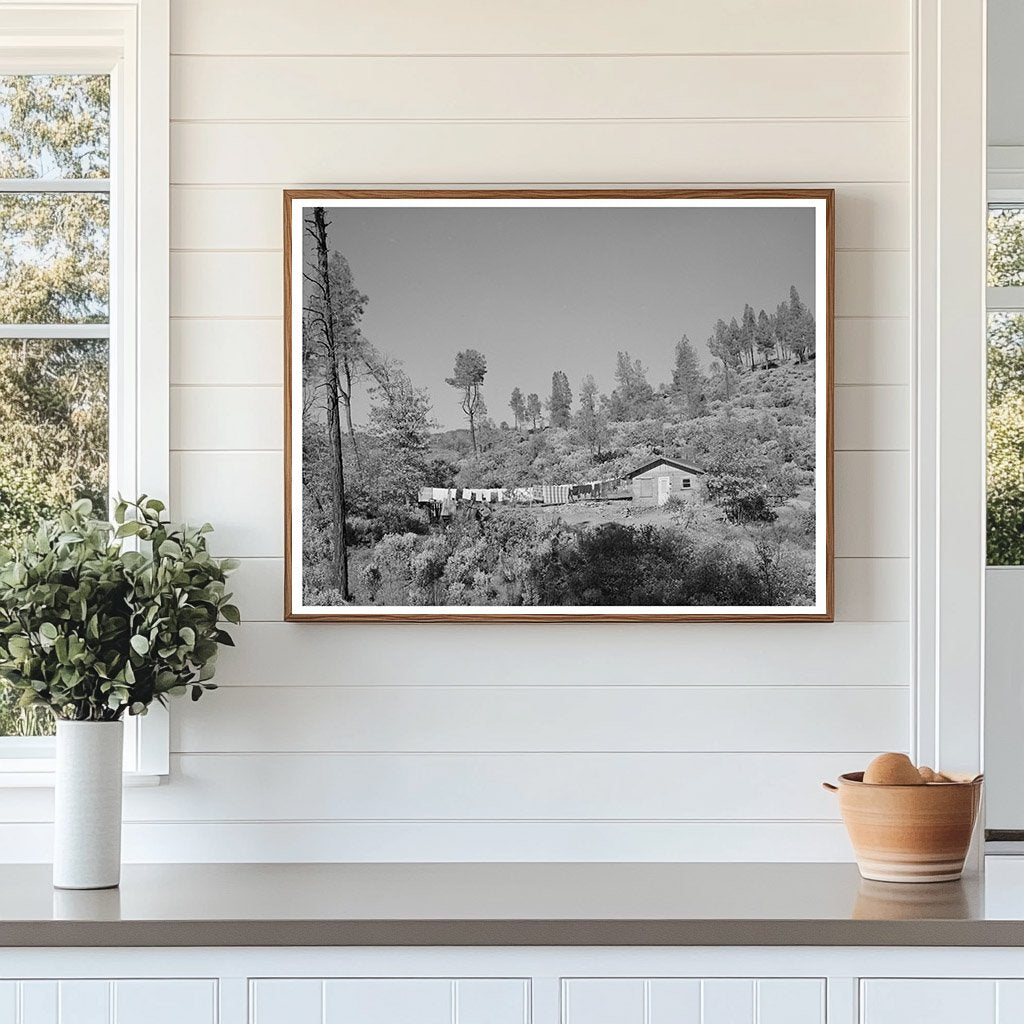 Shasta Dam Workers Makeshift Houses California 1940