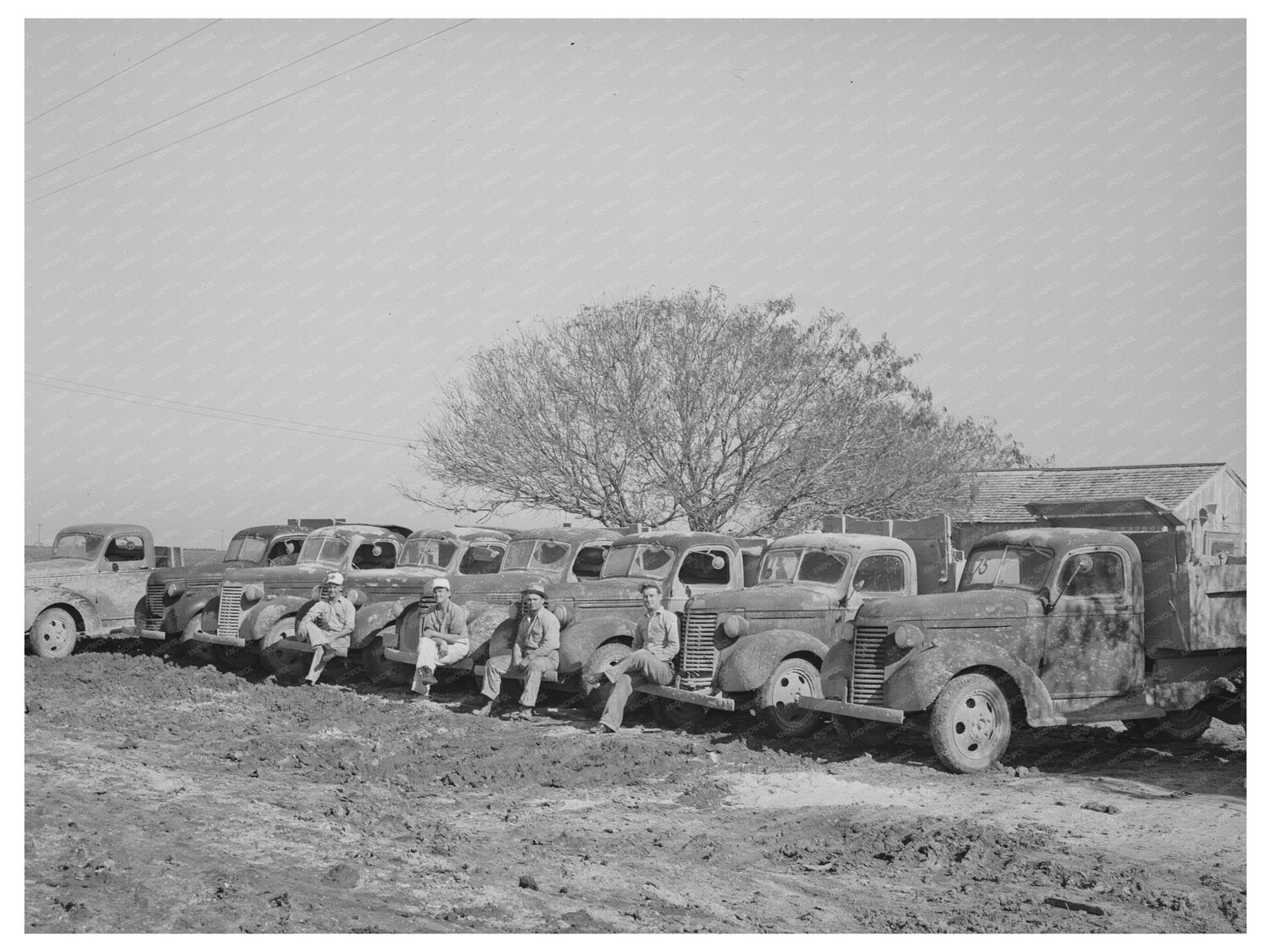 Trucks at Trucker Camp Corpus Christi December 1944
