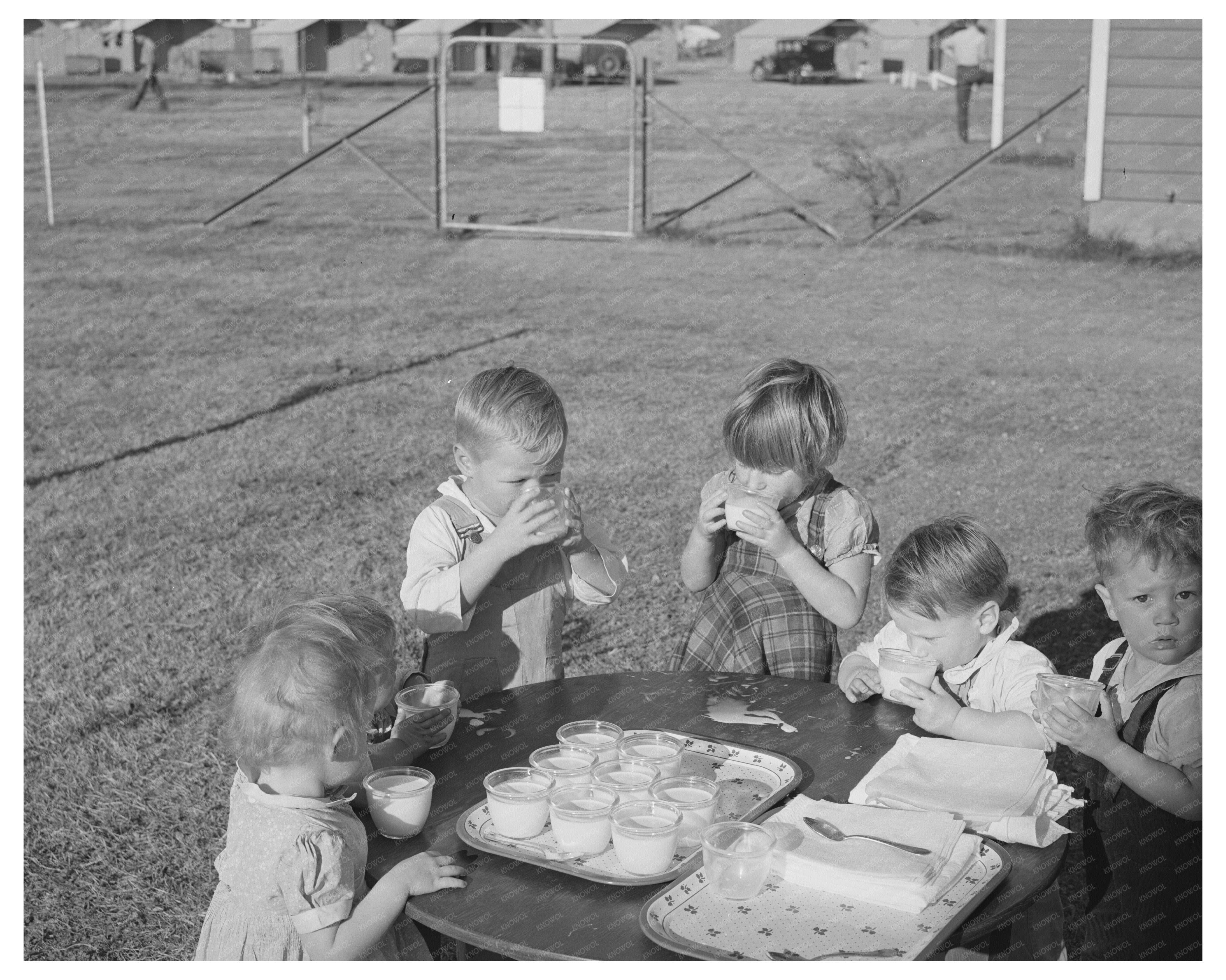 Children Drinking Milk at Farm Workers Camp Yuba City 1940