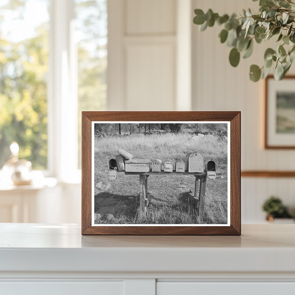 Vintage 1940 Auburn California Mailboxes and Farming Scene