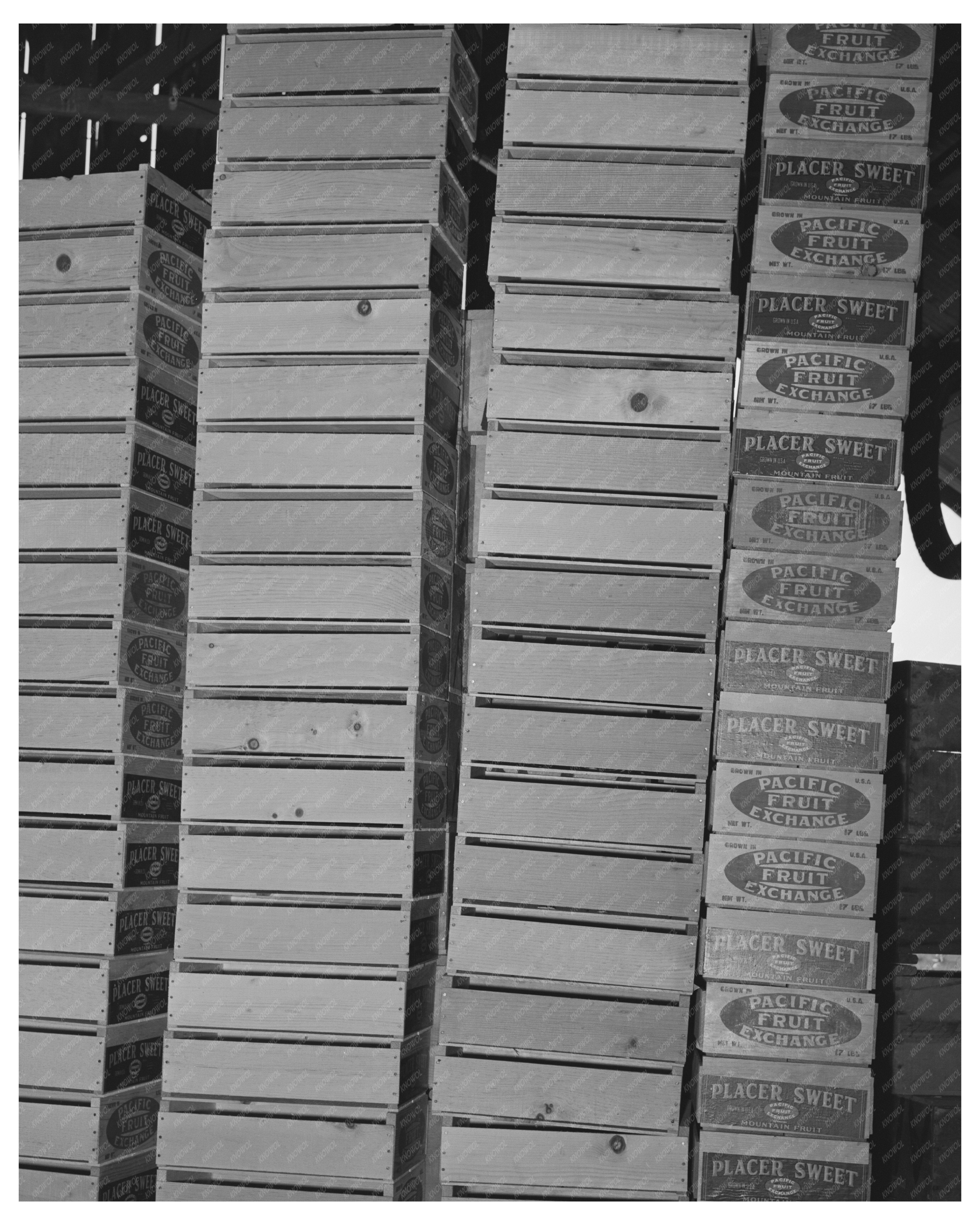 Fruit Crates in Loomis California December 1940