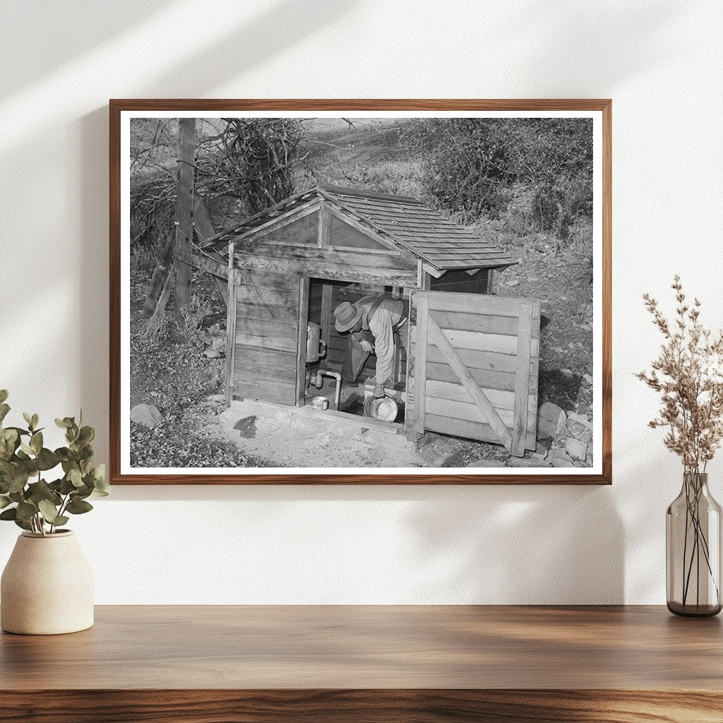 Vintage Fruit Farmer in Placer County California 1940