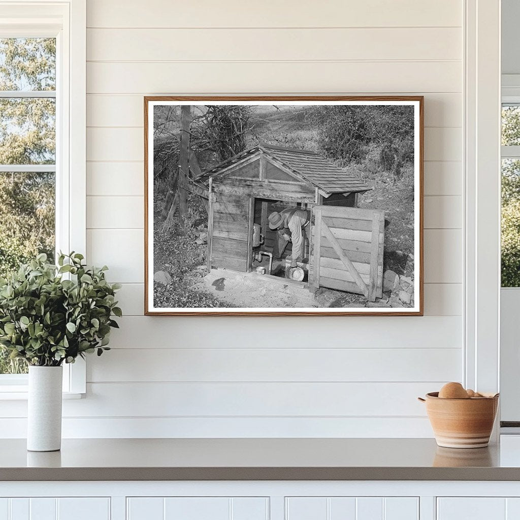 Vintage Fruit Farmer in Placer County California 1940