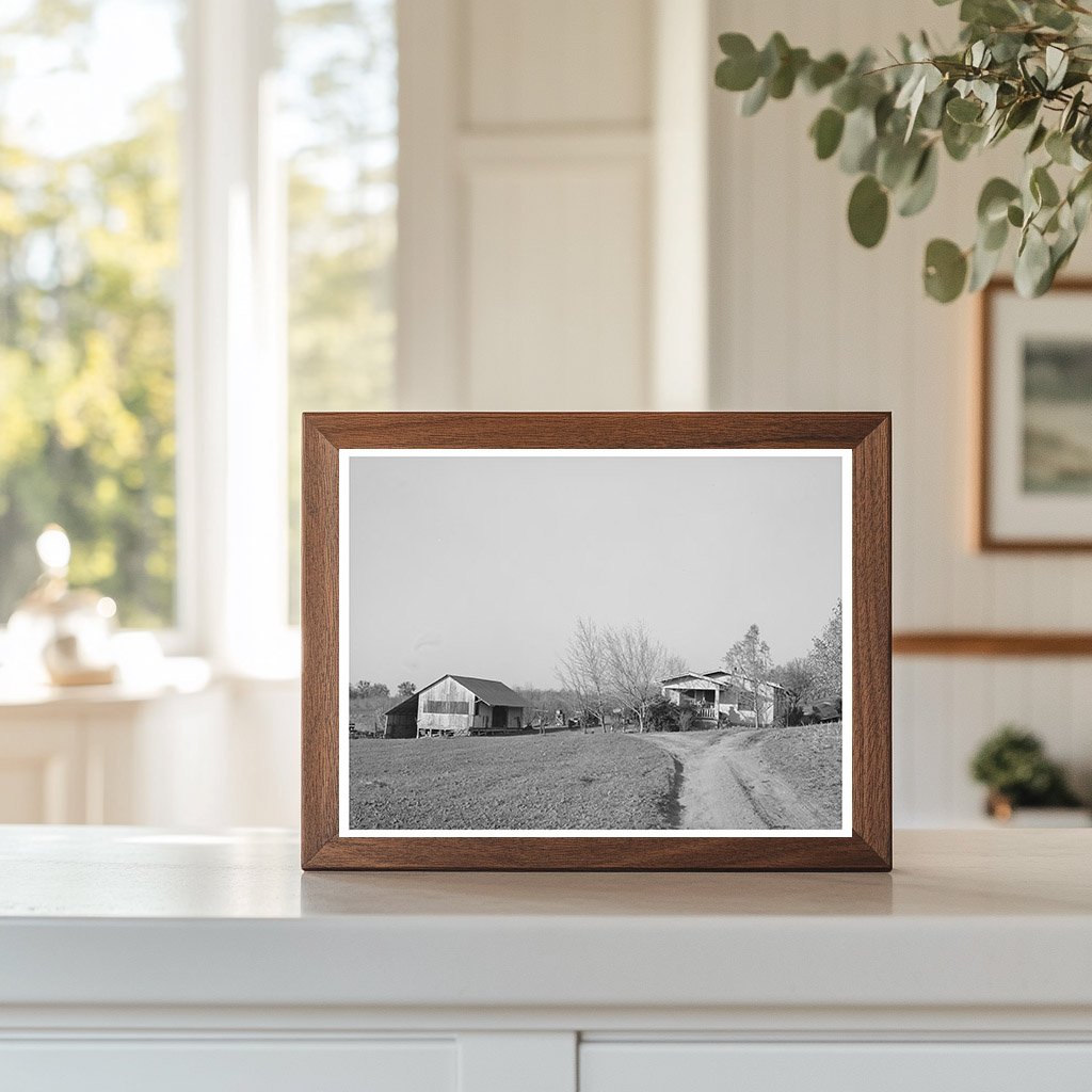 Placer County Fruit Farmers House and Shed 1940