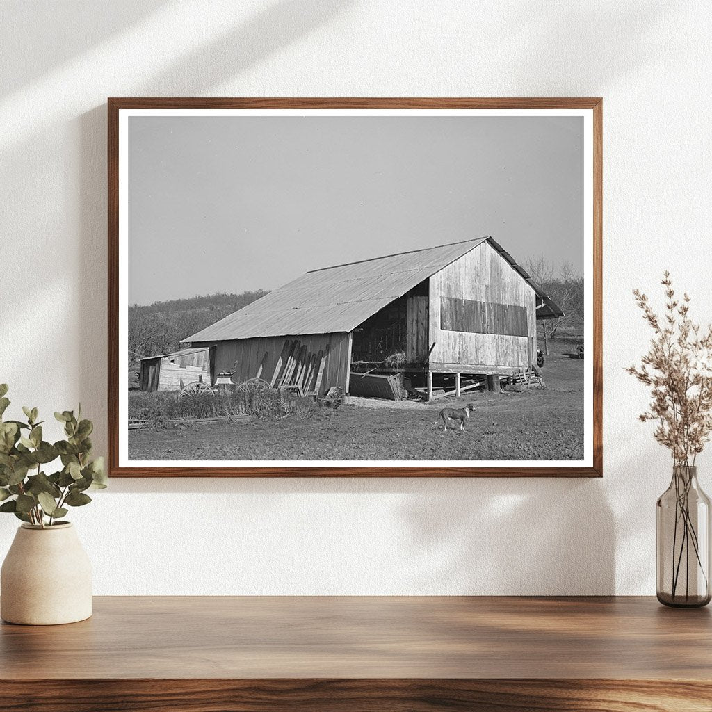 Packing Shed and Barn in Placer County California 1940