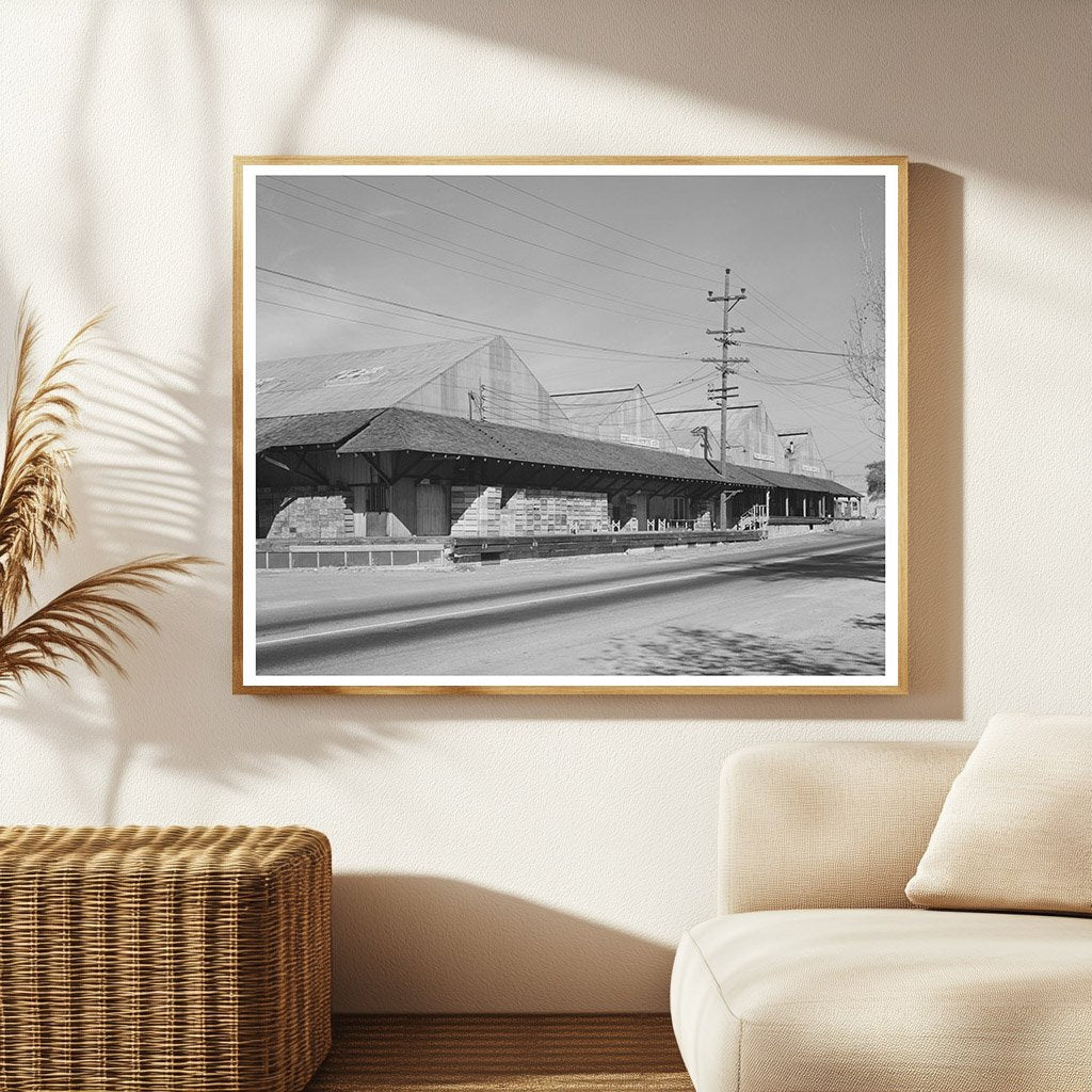 Loomis Fruit Association Packing Sheds December 1940