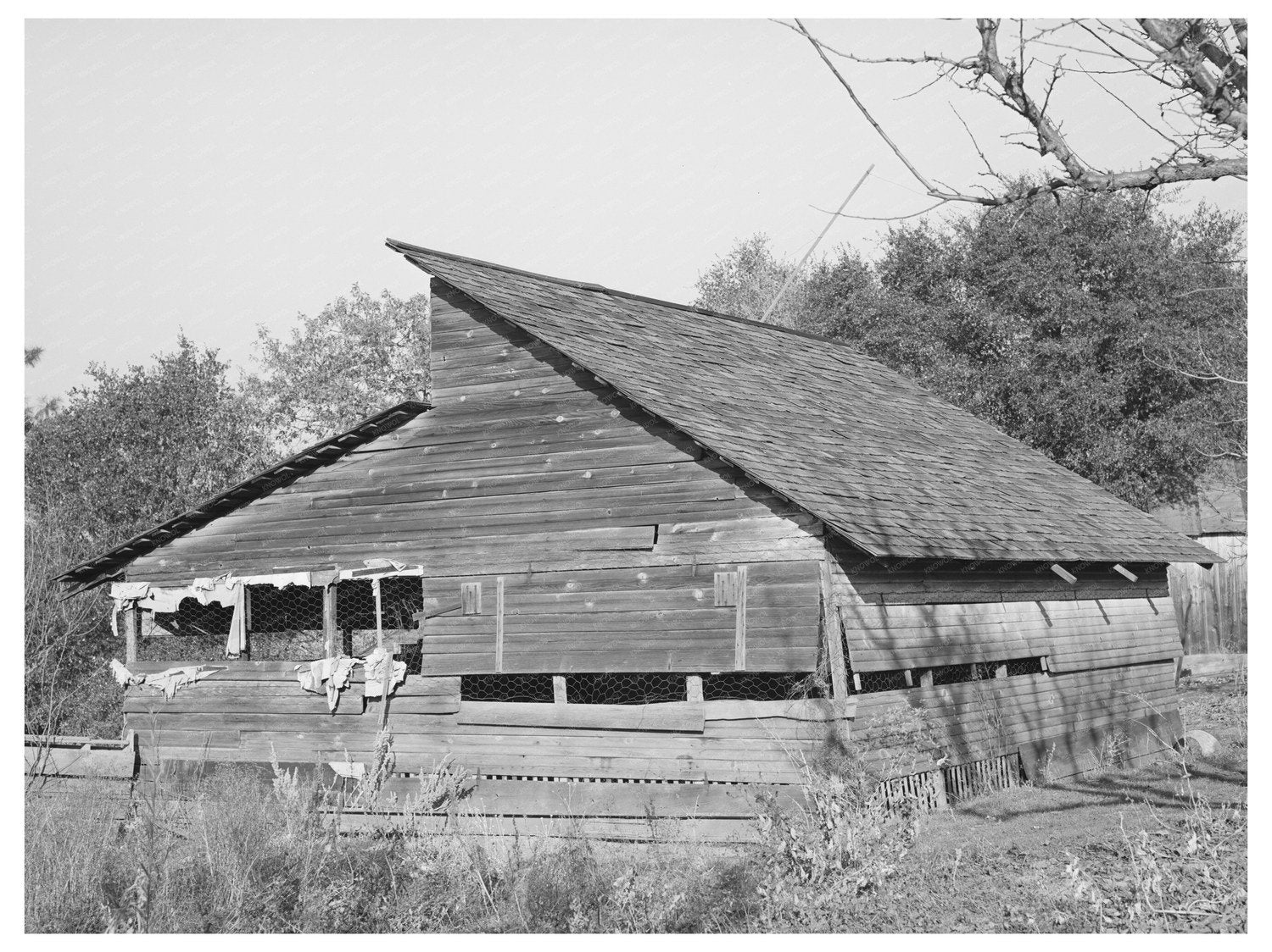 1940 Black and White Fruit Packing Shed in Placer County