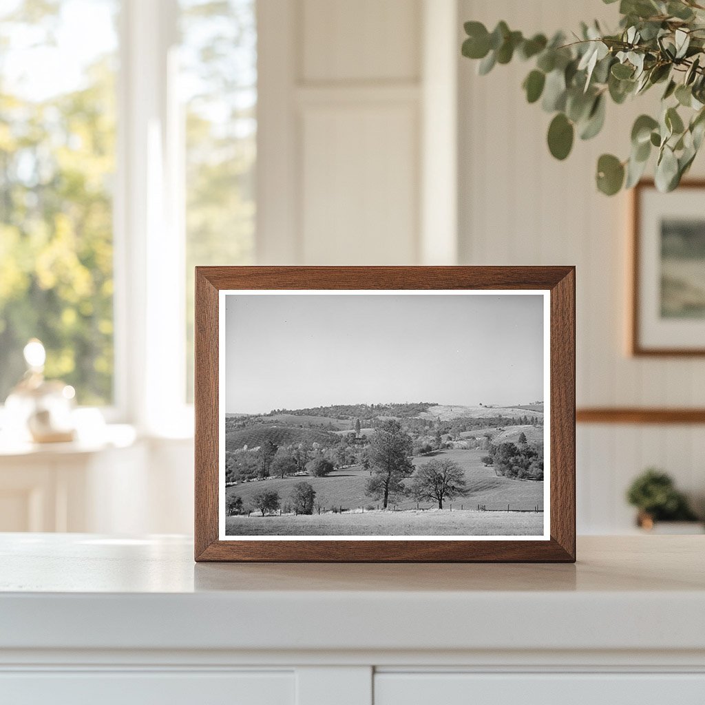 Placer County California Farmland December 1940