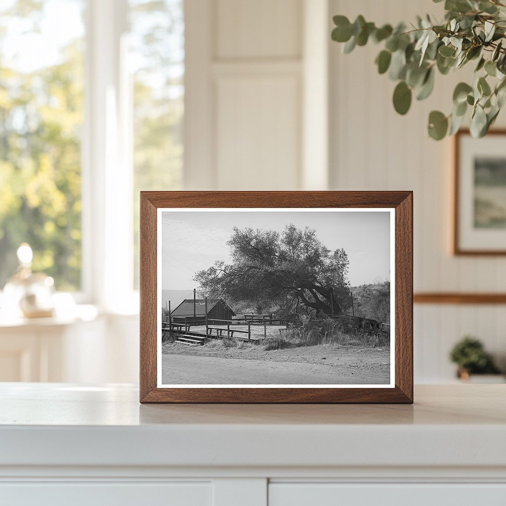 Deserted Dance Platform Placer County California 1940