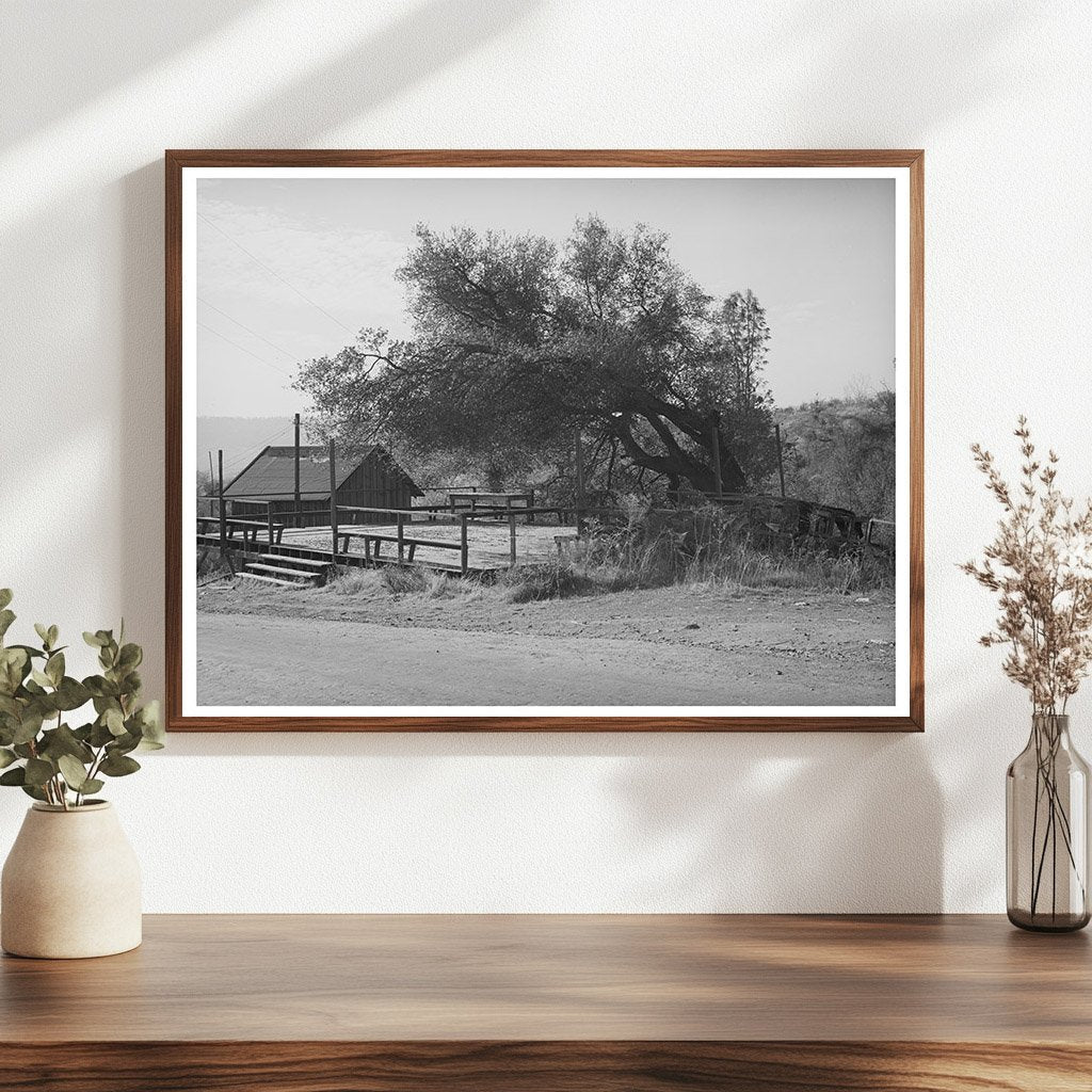 Deserted Dance Platform Placer County California 1940