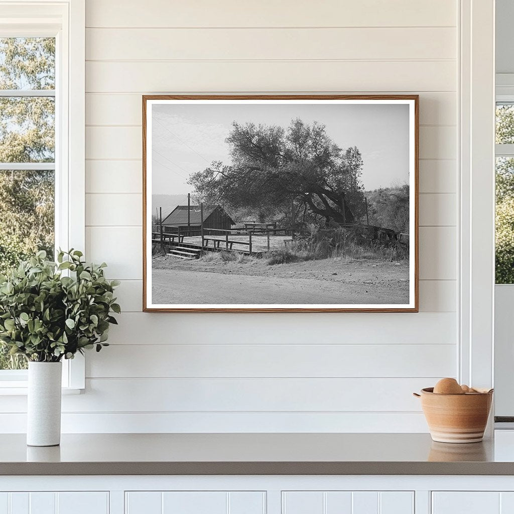 Deserted Dance Platform Placer County California 1940
