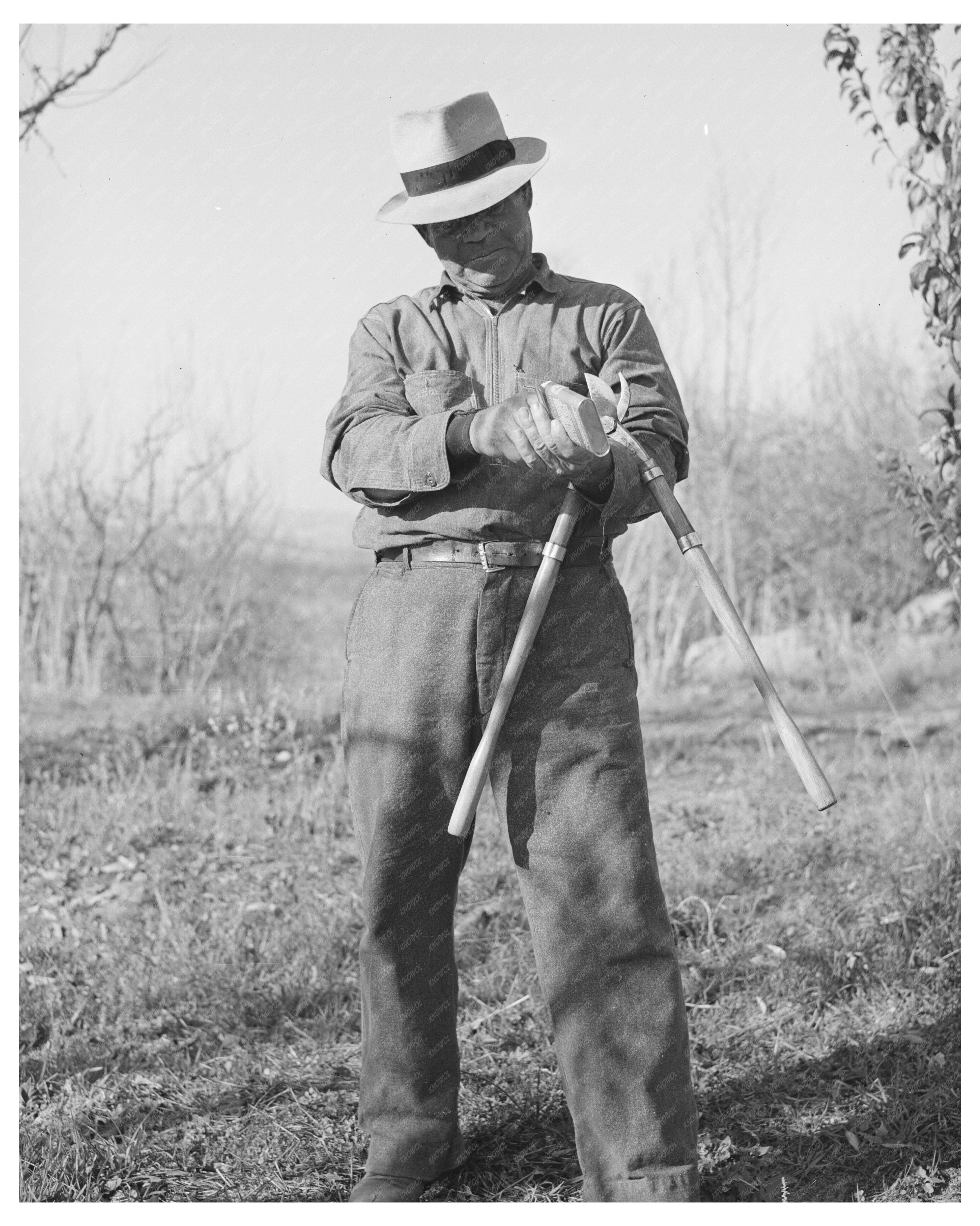 Vintage Farmer in Placer County California December 1940
