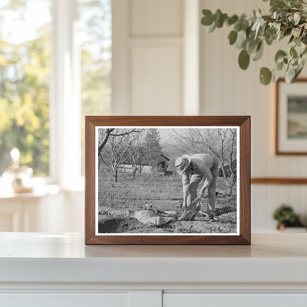 1940 Farmer Banking Irrigation Ditches Placer County California